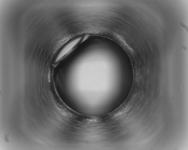 X0000094780068200712071214