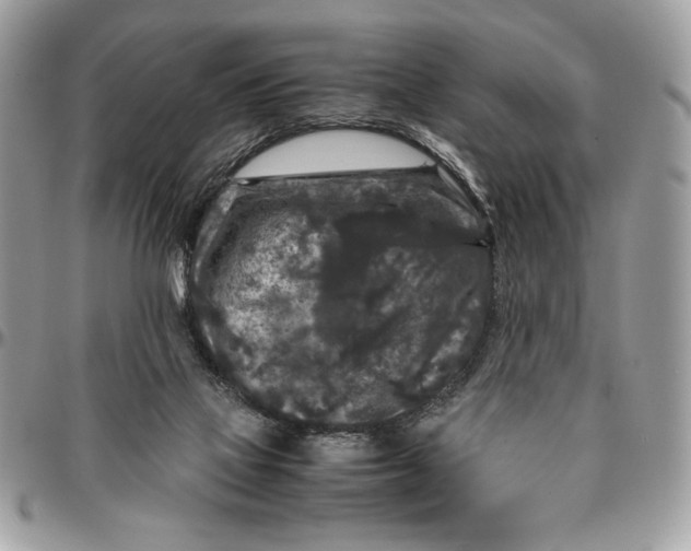 X0000094780069200712071214