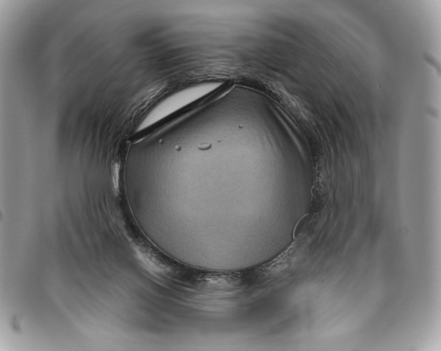 X0000094780070200712071214