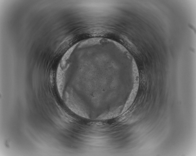 X0000094780074200712071214