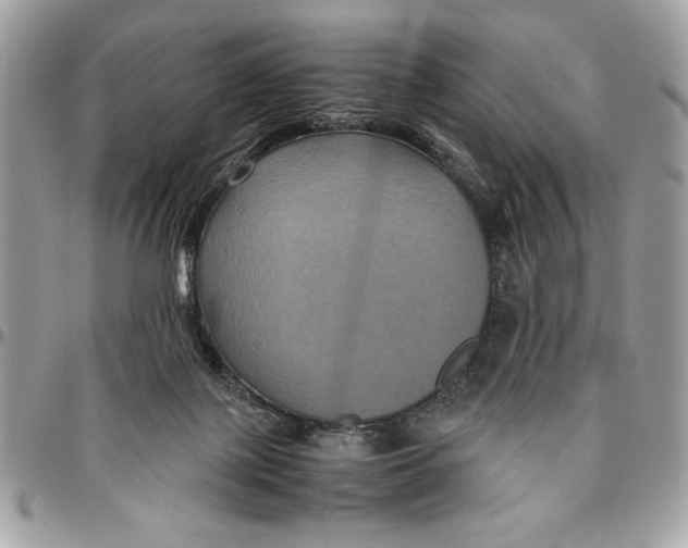 X0000094780075200712071214