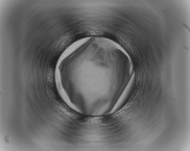 X0000094780078200712071214