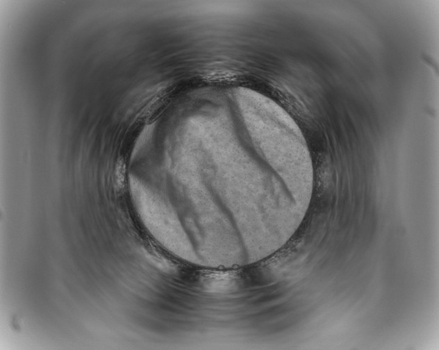 X0000094780081200712071214