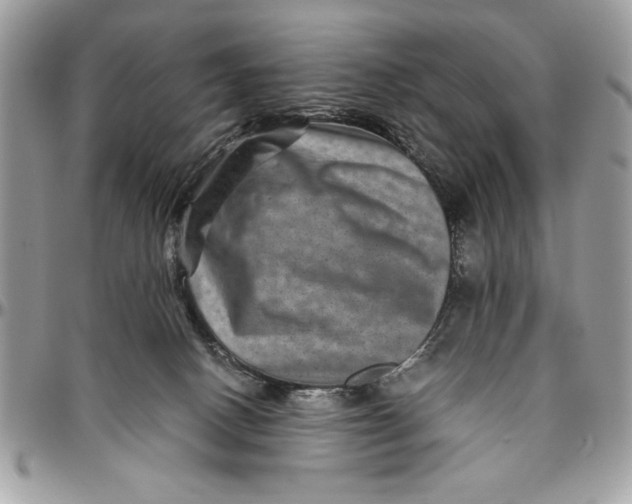 X0000094780082200712071214