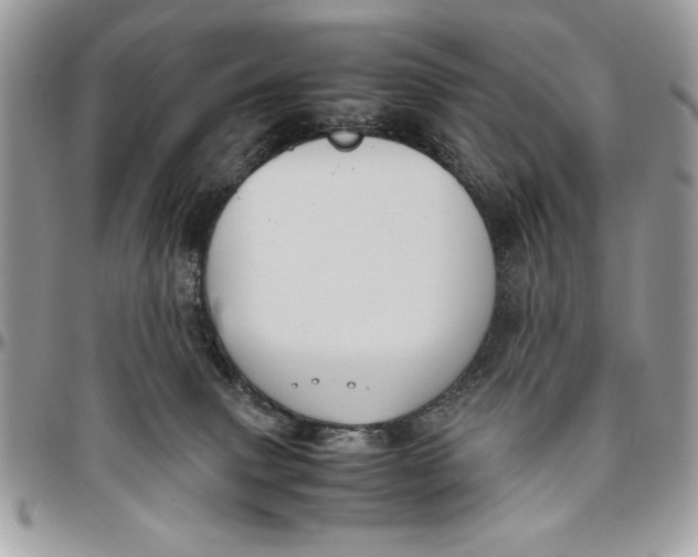 X0000094780083200712071214