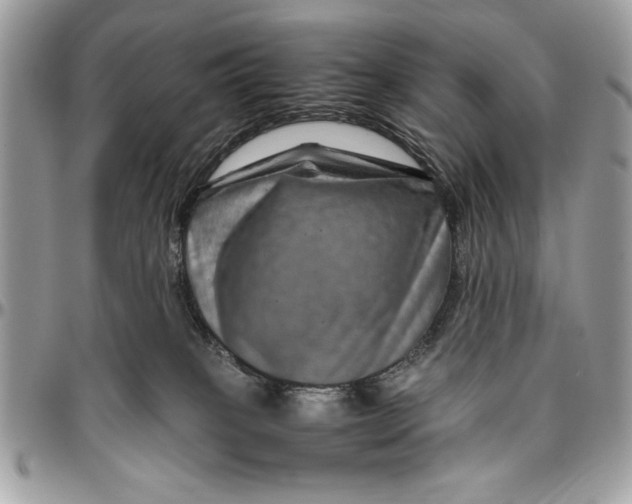 X0000094780085200712071214