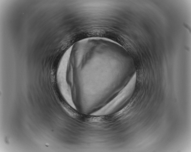 X0000094780086200712071214