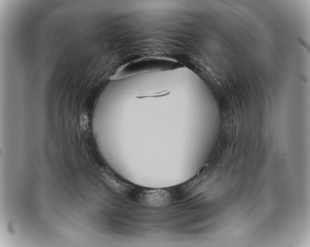 X0000094780087200712071214