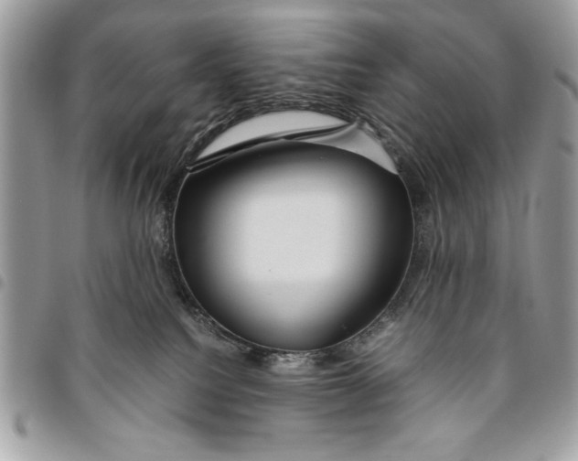 X0000094780088200712071214