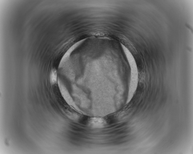 X0000094780095200712071215