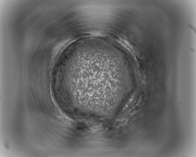 X0000094780097200712071214