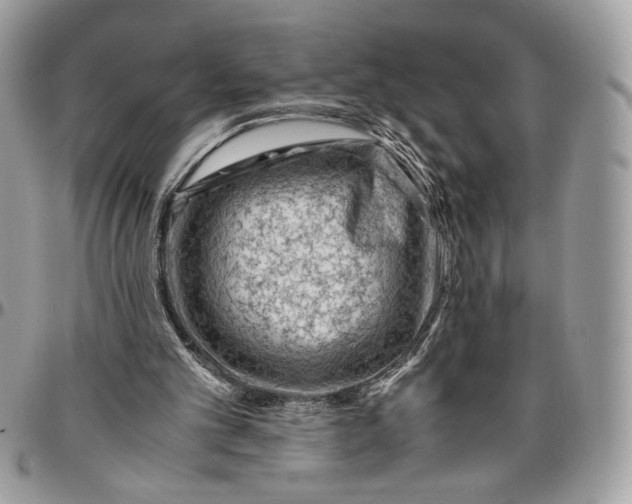 X0000094780101200712071214