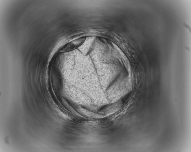 X0000094780102200712071214