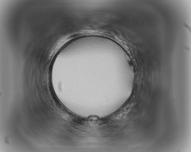 X0000094780103200712071214