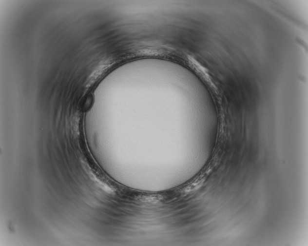 X0000094780106200712071214