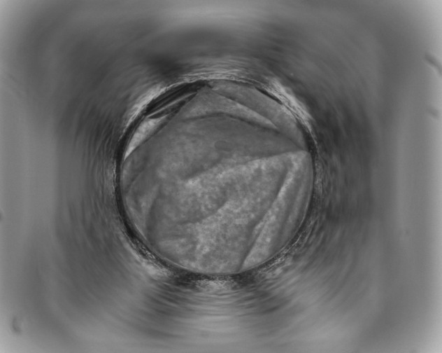 X0000094780107200712071214