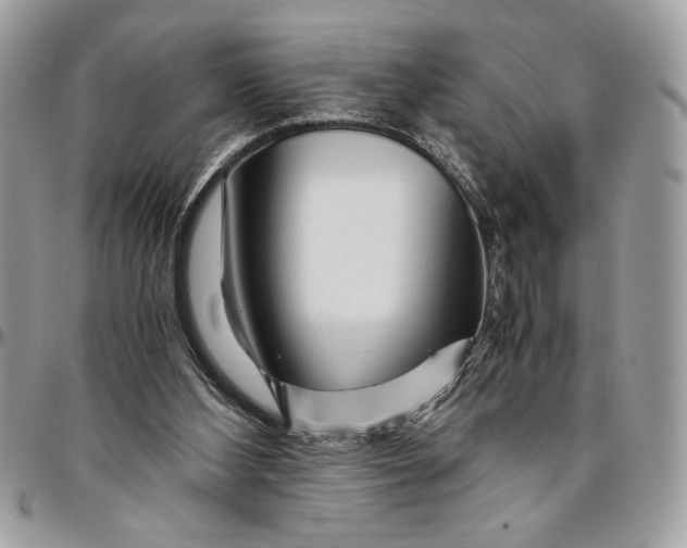 X0000094780108200712071214