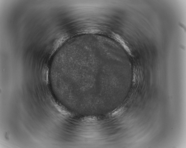 X0000094780110200712071214