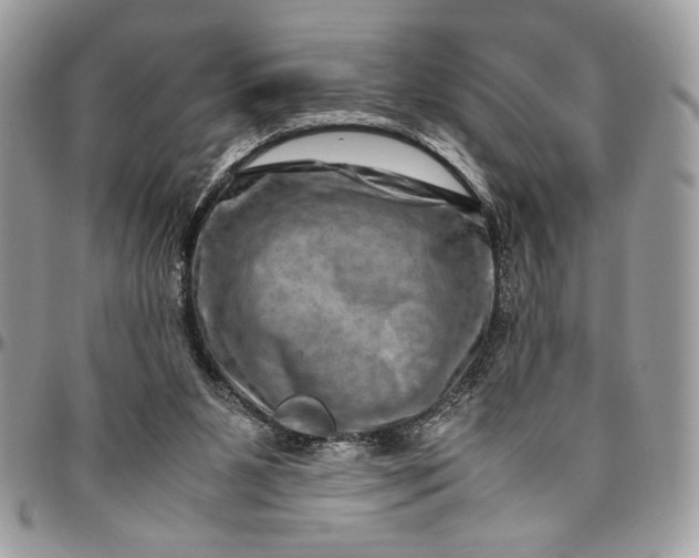 X0000094780111200712071214