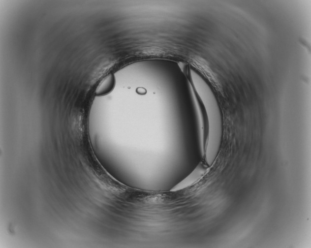 X0000094780116200712071213