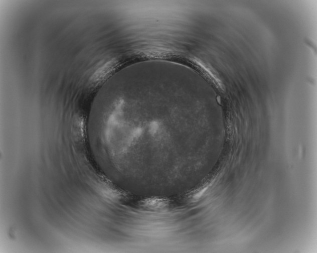 X0000094780117200712071213