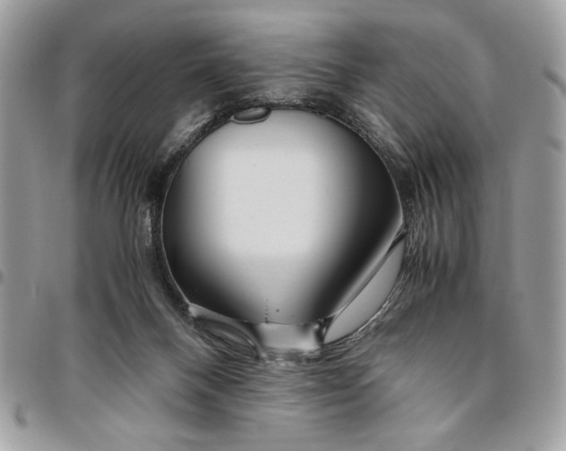 X0000094780120200712071213