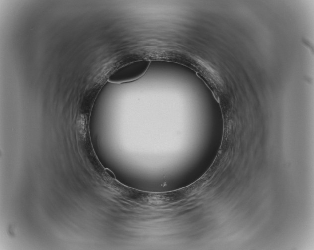 X0000094780121200712071213