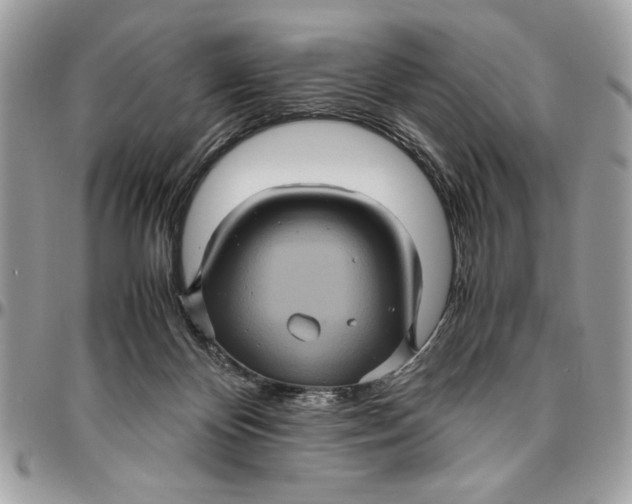 X0000094780124200712071213