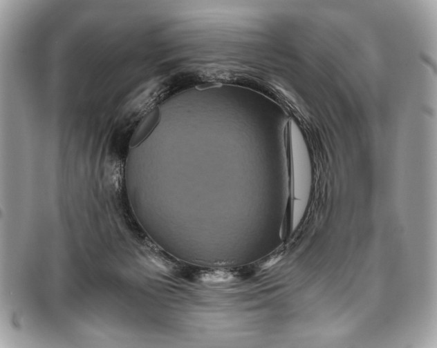 X0000094780125200712071213