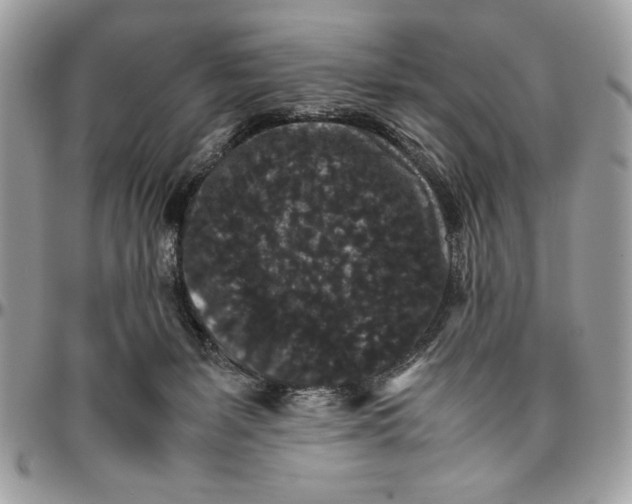 X0000094780127200712071213