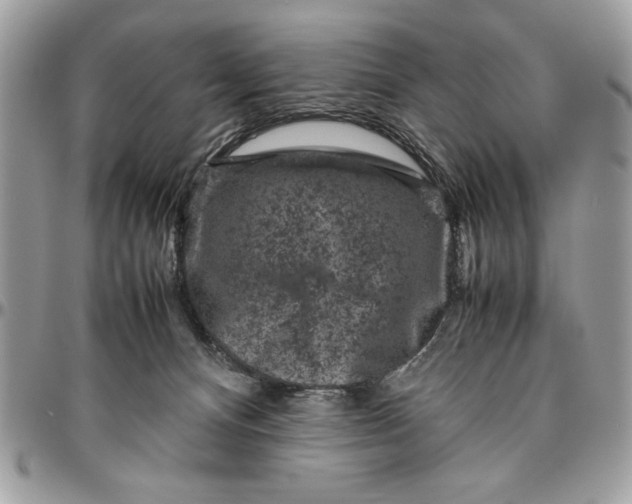 X0000094780128200712071213