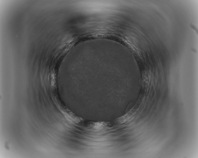 X0000094780130200712071213