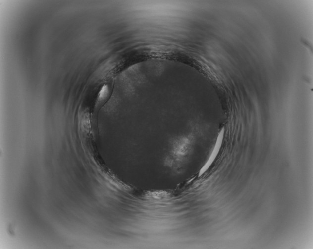 X0000094780137200712071213