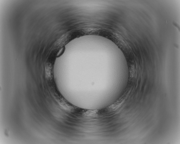 X0000094780138200712071213