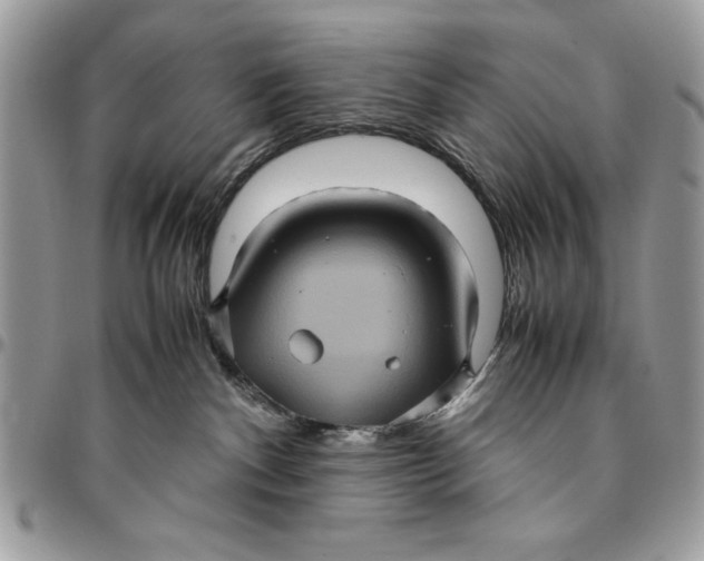 X0000094780140200712071213