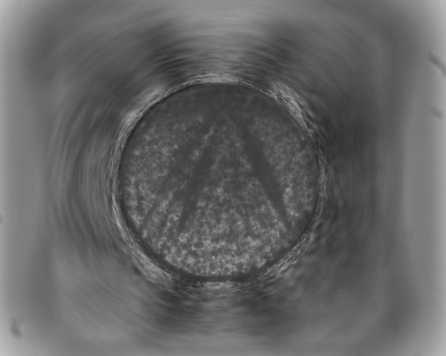 X0000094780145200712071212