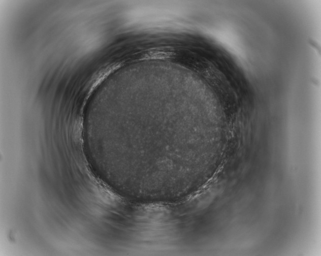 X0000094780146200712071212