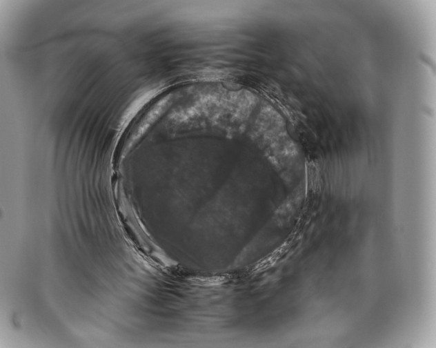 X0000094780147200712071212