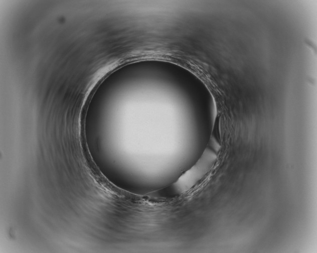 X0000094780148200712071212