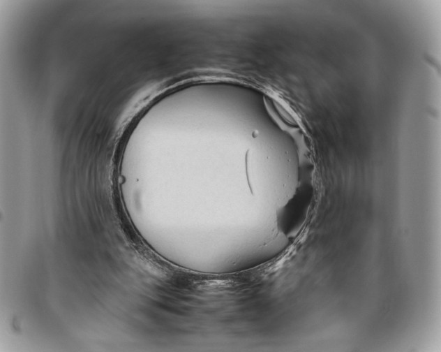 X0000094780151200712071213