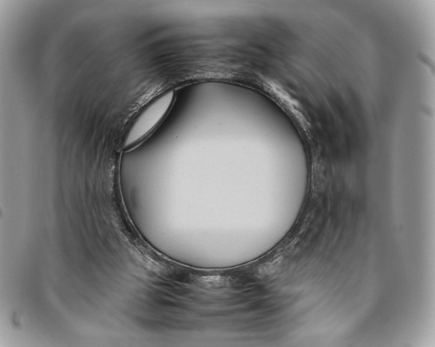 X0000094780153200712071213