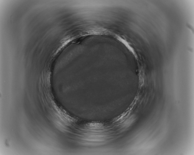 X0000094780154200712071213