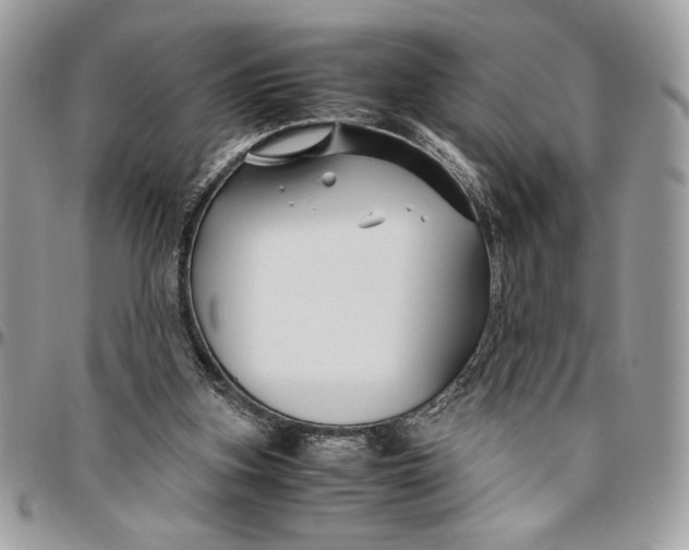 X0000094780155200712071213