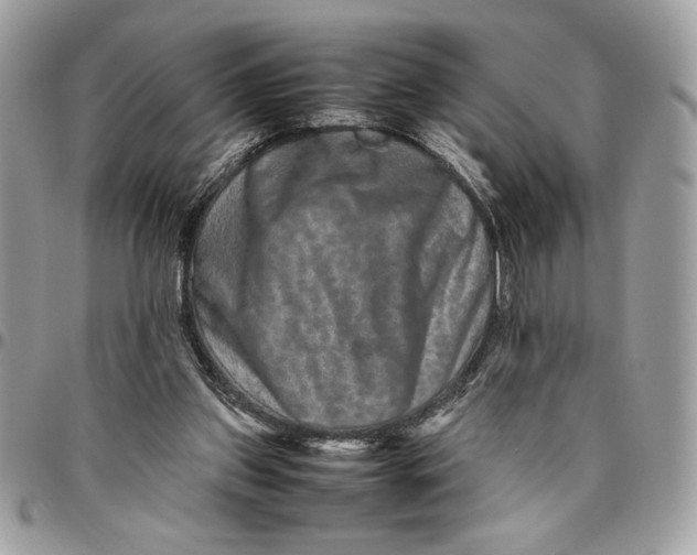 X0000094780157200712071213