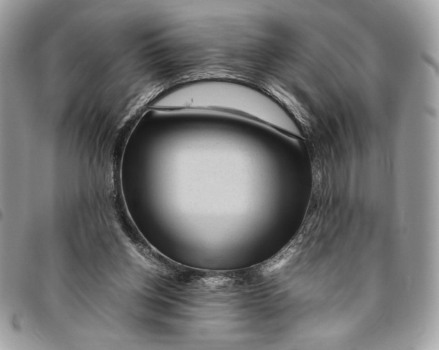 X0000094780158200712071213