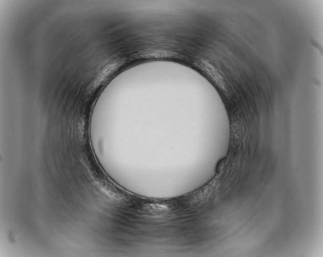 X0000094780159200712071213