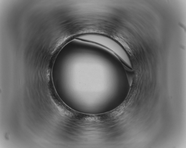 X0000094780160200712071213