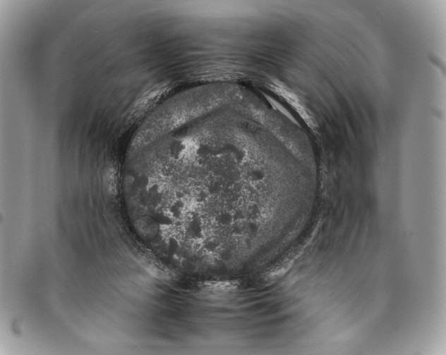 X0000094780161200712071213