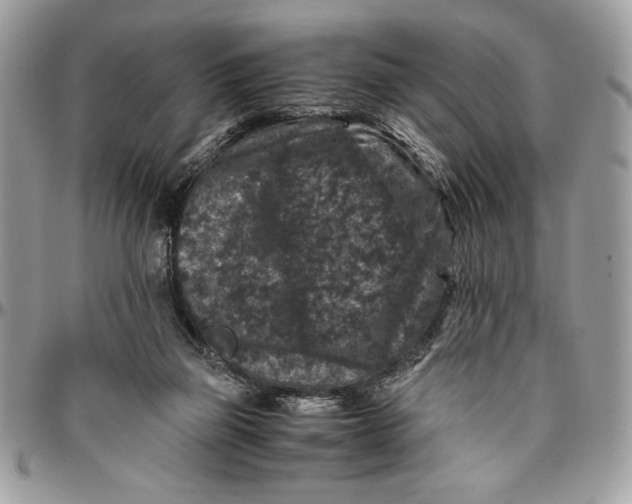 X0000094780165200712071213