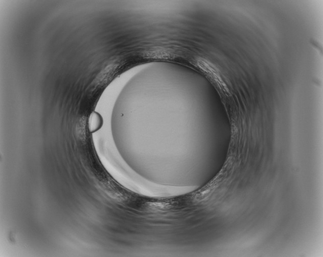 X0000094780167200712071213